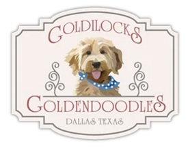 Logo for Goldilocks Goldendoodles