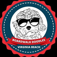 Logo for Boardwalk Doodles